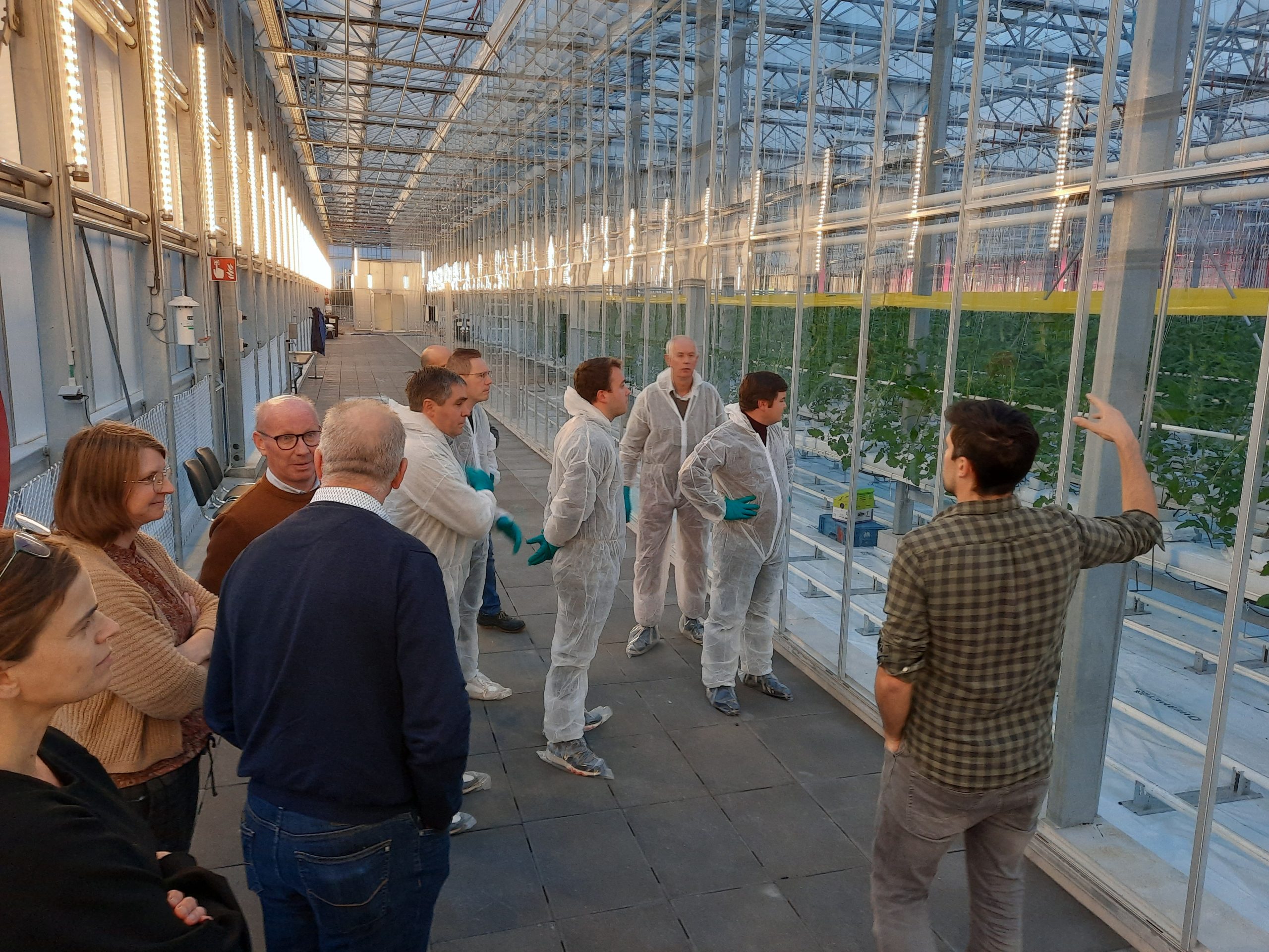 Visit to the fresh tomato plantings in Agrotopia
